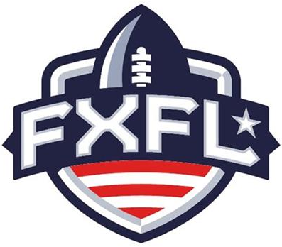 FXFL 2014 Unused Logo t shirt iron on transfers